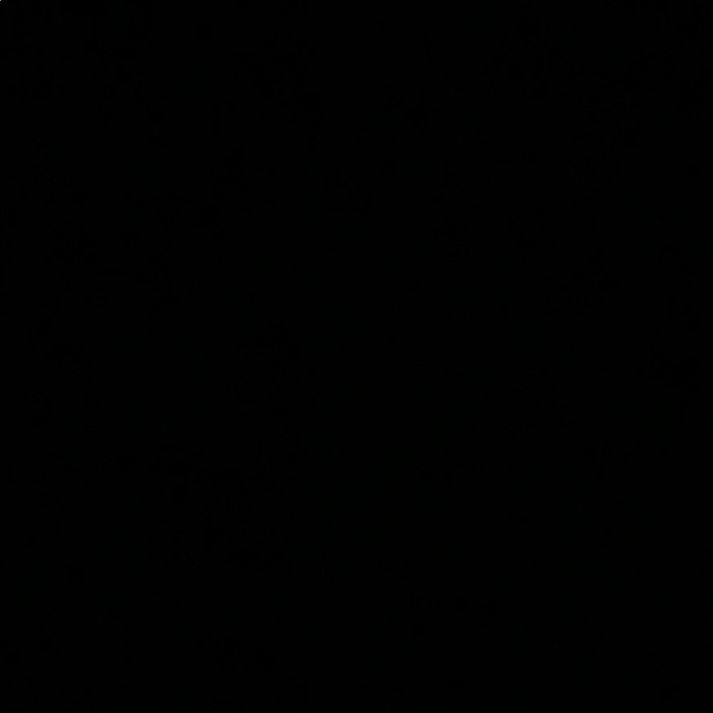 Meet your Posher, Vani